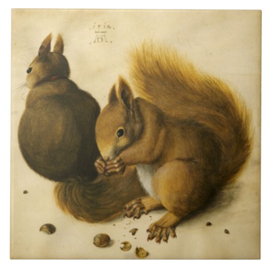 THE SQUIRREL WITH NUTS by Albrecht Durer Fliese (Vorderseite)