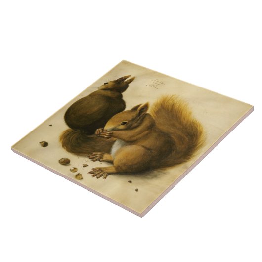 THE SQUIRREL WITH NUTS by Albrecht Durer Fliese (Seite)