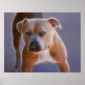 The Stance Poster (Vorne)