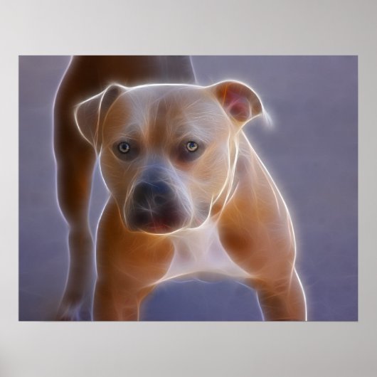 The Stance Poster (Vorne)