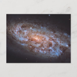 The Stellar Forge Postkarte