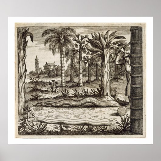 The Stone Snake, from 'China Illustrated' by Athan Poster (Vorne)