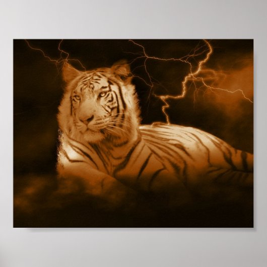 The Storm Poster (Vorne)