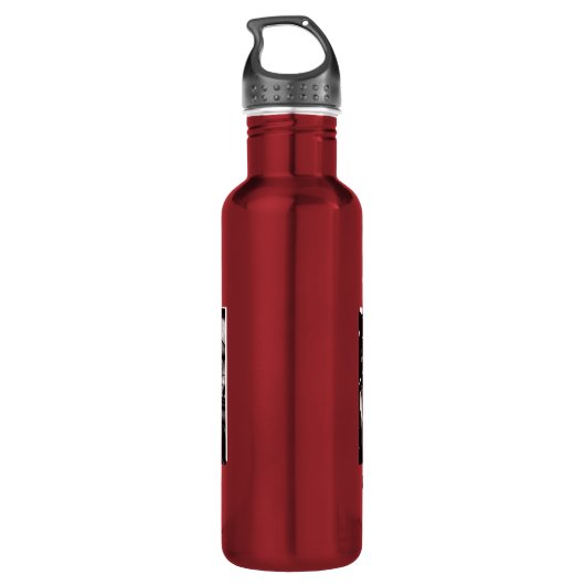 The Suicide Squad | Task Force X Edelstahlflasche (Rückseite)