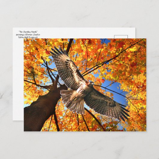 "The Sunday Hawk" Postkarte (Vorne/Hinten)