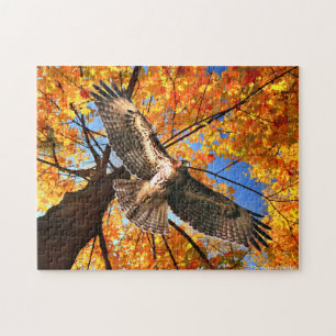 "The Sunday Hawk"-Puzzle Puzzle