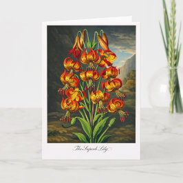 The Superb Lily — Modern Botanical Reinterpretatio Karte