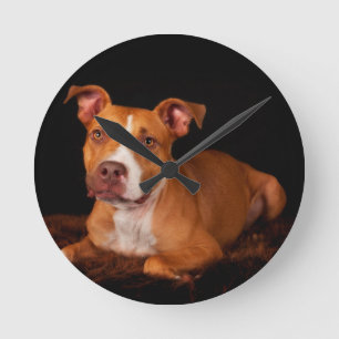 The Sweet Pitty Runde Wanduhr