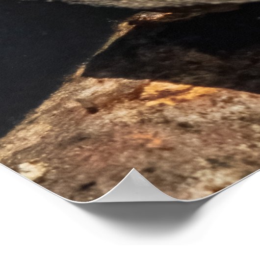 The Swimmer Poster (Ecke)