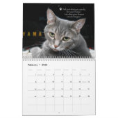 The Tao of Nora Calendar (Nora The Piano Cat) Kalender (Feb 2026)