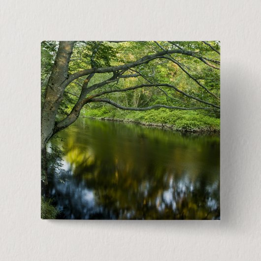 The Taunton River in Bridgewater, 2 Button (Vorderseite)
