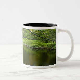The Taunton River in Bridgewater, 2 Zweifarbige Tasse