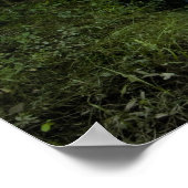 The Taunton River in Bridgewater, Poster (Ecke)