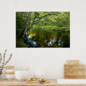 The Taunton River in Bridgewater, Poster (Küche)