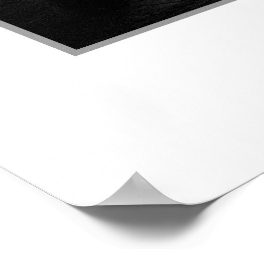 The Temple Bar Pub, Dublin Poster (Ecke)