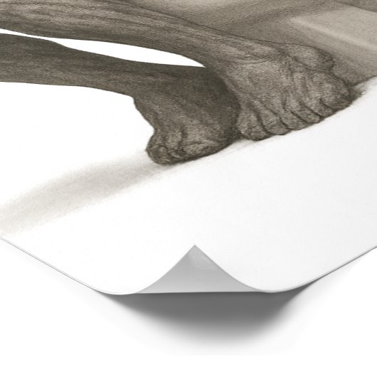 The Thinker on the Throne Poster (Ecke)