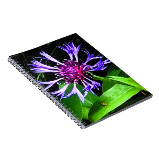 THE Thistle Notizblock (Rechte Seite)