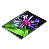 THE Thistle Notizblock (Linke Seite)