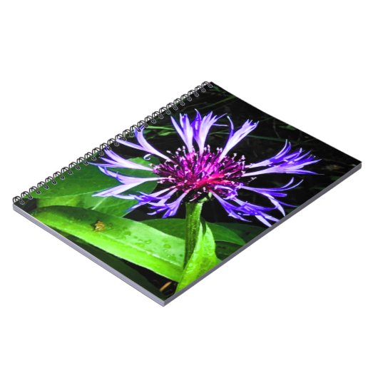 THE Thistle Notizblock (Linke Seite)