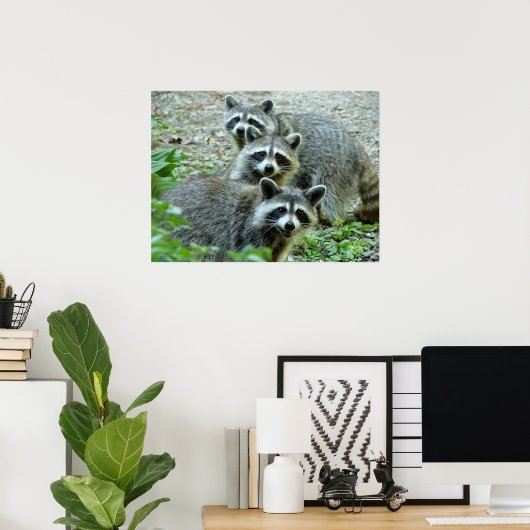 The Three Raccoon Poster (Heimbüro)
