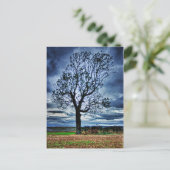 The Tree HDR Postcard Postkarte (Stehend Vorderseite)
