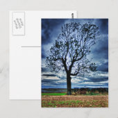 The Tree HDR Postcard Postkarte (Vorne/Hinten)