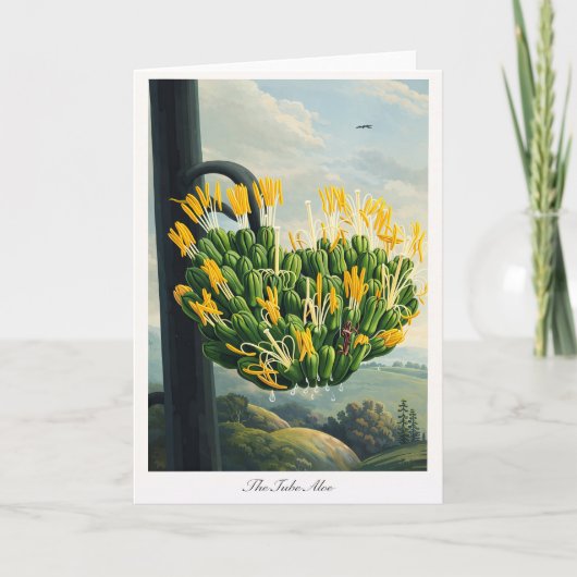 The Tube Aloe — Modern Botanical Reinterpretation Karte (Vorderseite)