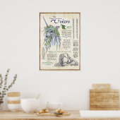 The Unicorn - Mythological Bestiary Page Poster (Küche)
