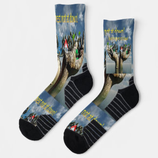 The Unlikely Hero: Witness the "Frog That Carries  Socken