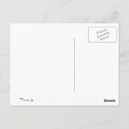 The Untimely Rain by George Barbier Postkarte (Rückseite)