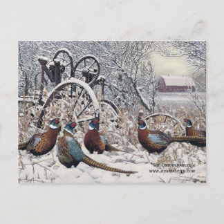 "The Untouchables" von Joshua Spies Postkarte