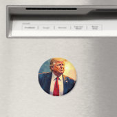 The Unyielding Icon: A Symbollic Portrait of Donal Magnet (In Situ (Geschirrspüler))