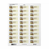 The Valley Gardens Harrogate by Farida Greenfield (Vorne)