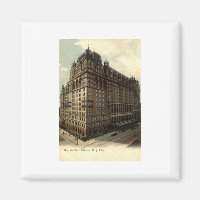 The Waldorf Astoria, New York City 1908 Vintag
