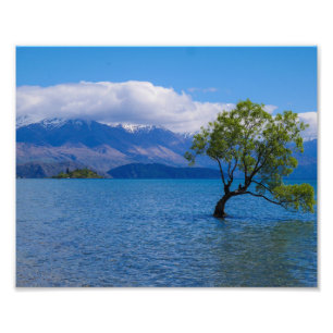 The Wanaka Tree, Lake Wanaka, NZ - Foto Print
