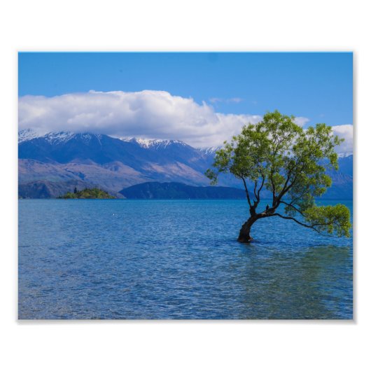 The Wanaka Tree, Lake Wanaka, NZ - Foto Print (Vorne)