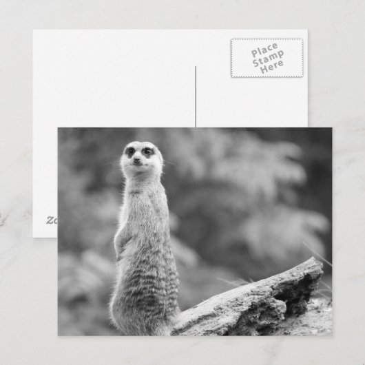 "The Watchman" Postkarte (Vorne/Hinten)