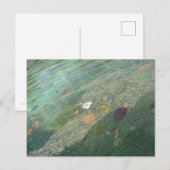 The water's surface in October Postkarte (Vorne/Hinten)