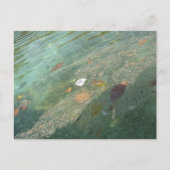 The water's surface in October Postkarte (Vorderseite)