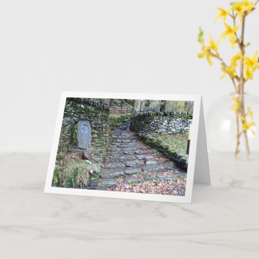 The Watkin Path, Snowdonia, Wales Karte (Gelbe Blume)