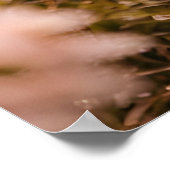 The Way We Stay Poster (Ecke)