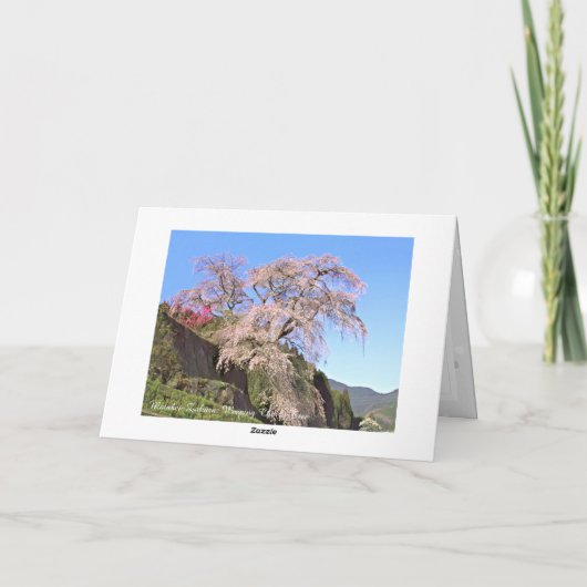 The Weeping Cherry Tree: Matabei-Zakura Karte (Rückseite)