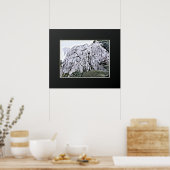 The Weeping Cherry Tree Poster (Küche)