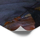 The White Mushroom Poster (Ecke)