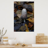 The White Mushroom Poster (Küche)