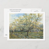 The White Orchard (F403) Van Gogh Fine Art Postkarte (Vorne/Hinten)