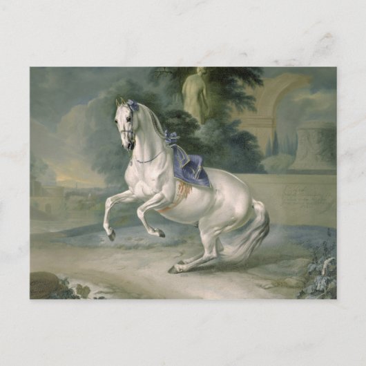 The White Stallion 'Leal' en levade, 1721 Postkarte (Vorderseite)