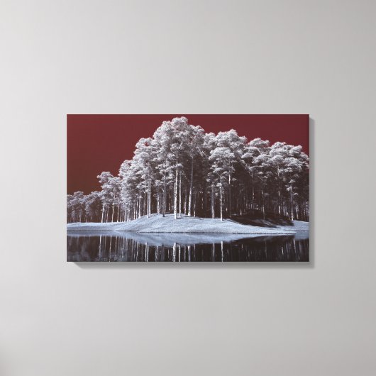 The White Woods Canvas Print Leinwanddruck (Vorderseite)