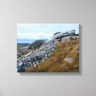 The Wild Moors Bodmin Moor Cornwall England Leinwanddruck