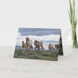The Wild Roan Family Runs Greeting Card Einladung